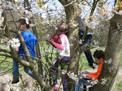 Abbildung 1 von Karin Bergdolt