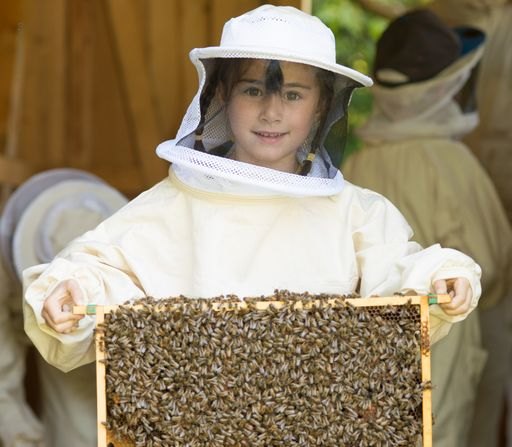 Abbildung 06:Die Arbeit mit den Bienen