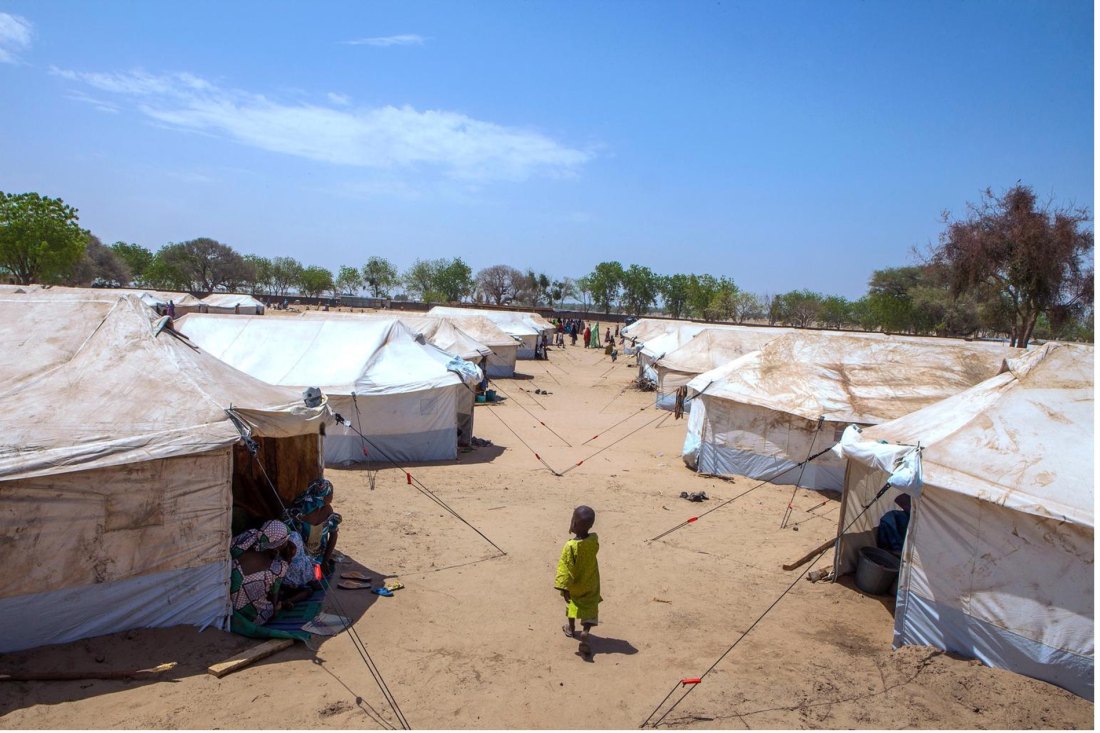 a Child walks between rows