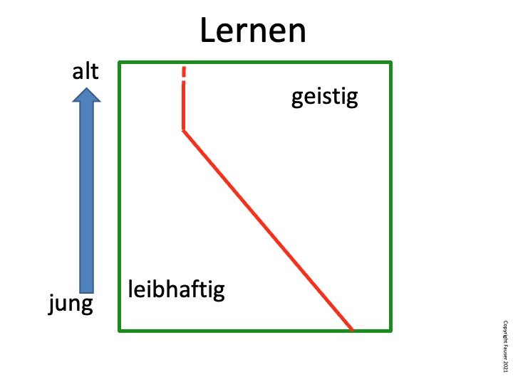 Abb. 3: Lernen