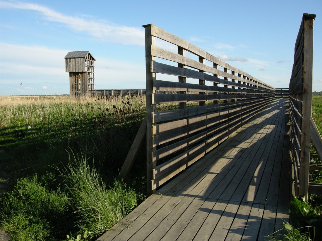 L’Observatoire, 2007, Estuaire Nantes – Saint Nazaire“ (FR) Photo: © Tadashi Kawamata
