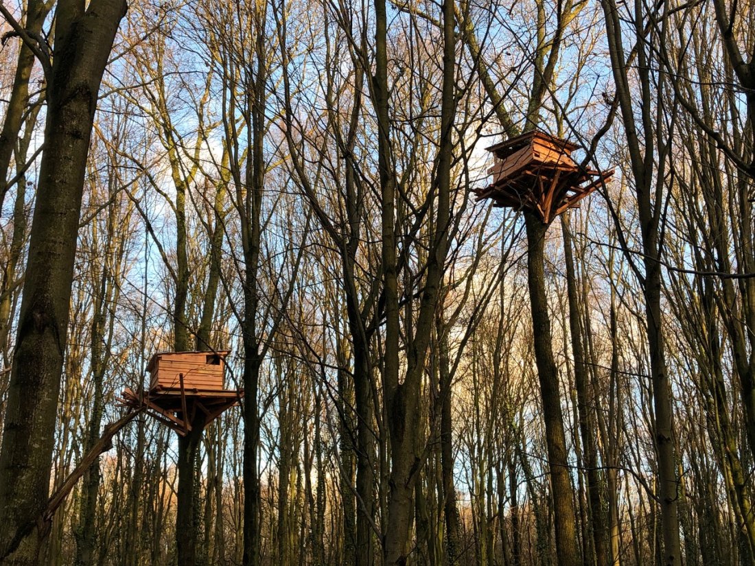 Tree Hut, 2019, Tremblay-en-France (FR) Photo: © Tadashi Kawamata