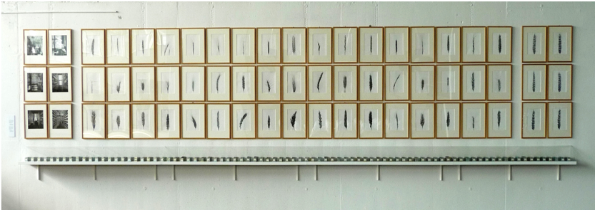 Abb. Ursula Schulz-Dornburg