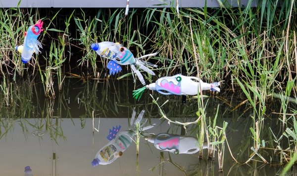 Künste-Natur-Nachhaltigkeit